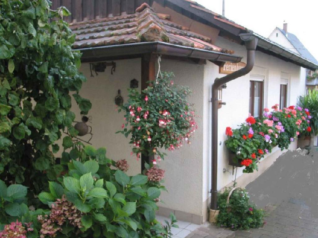 Ferienwohnung Am Blumengaessle Mullheim  Exterior foto
